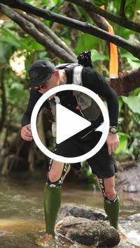 BIB:  <button type="button" onclick="openModal(27825451)" class="btn btn-primary btn-sm float-right" data-toggle="modal" data-target=".modal-high-quality">
                <i class="fa fa-download"></i> Download
                </button>